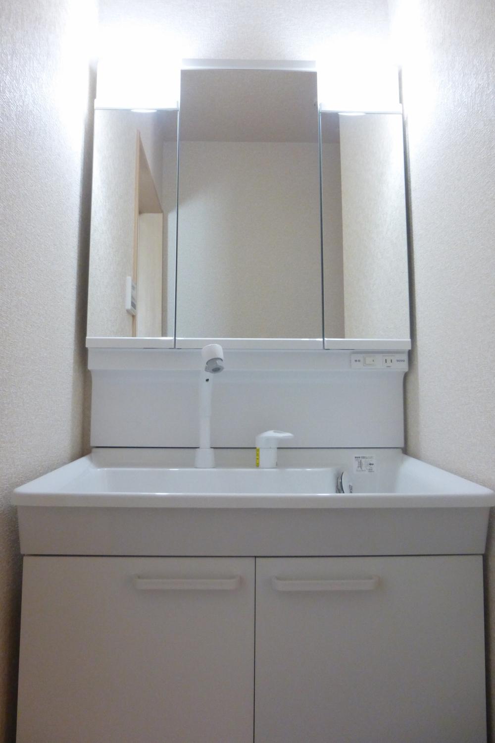 Wash basin, toilet. Vanity shower