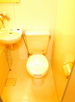 Toilet