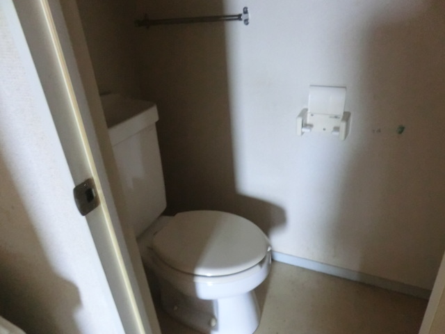 Toilet