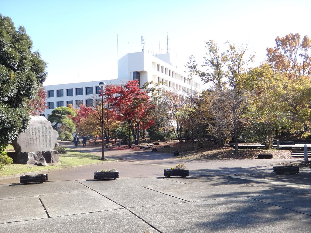 Government office. 1250m to City Hall (government office)