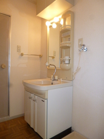 Washroom. Bathroom Vanity