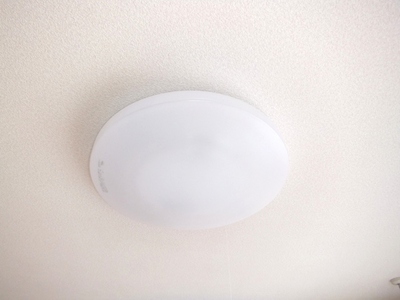 Other. It comes with a ceiling lighting! ! 