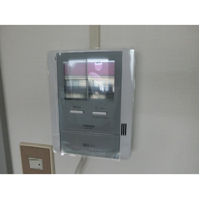 Security. Peace of mind with a TV monitor
