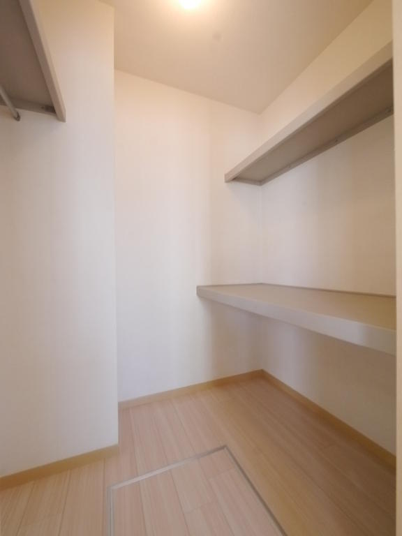 Receipt. Walk-in closet of a large capacity