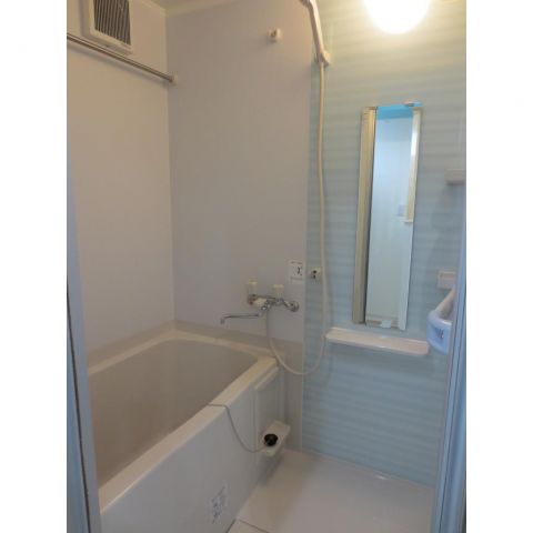 Bath. Impressive independent bus blue accent panel of