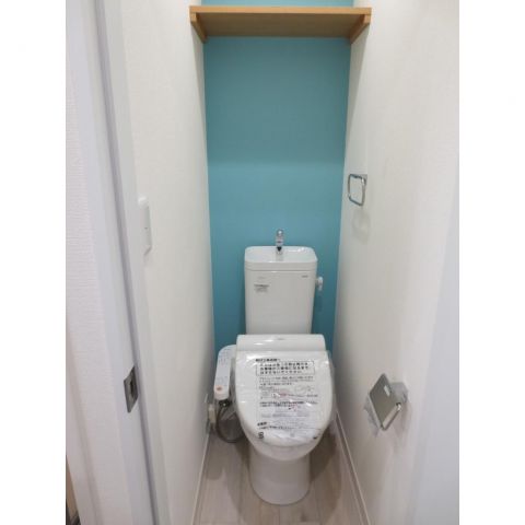 Toilet. Separate toilet (with warm water cleaning toilet seat)