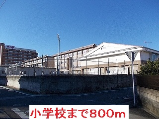 Primary school. 800m to Toyokawa elementary school (elementary school)