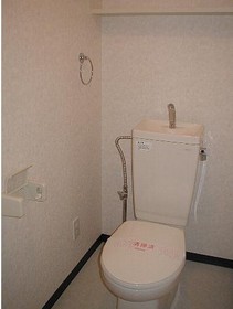 Toilet. Toilet
