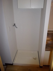Washroom. Washing machine in the room