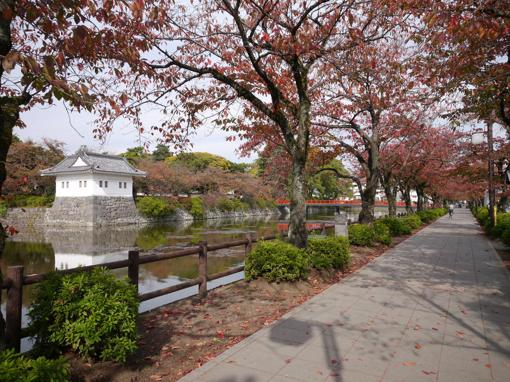 park. Odawara Castle Castle to the park (park) 450m