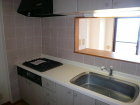 Kitchen. System kitchen
