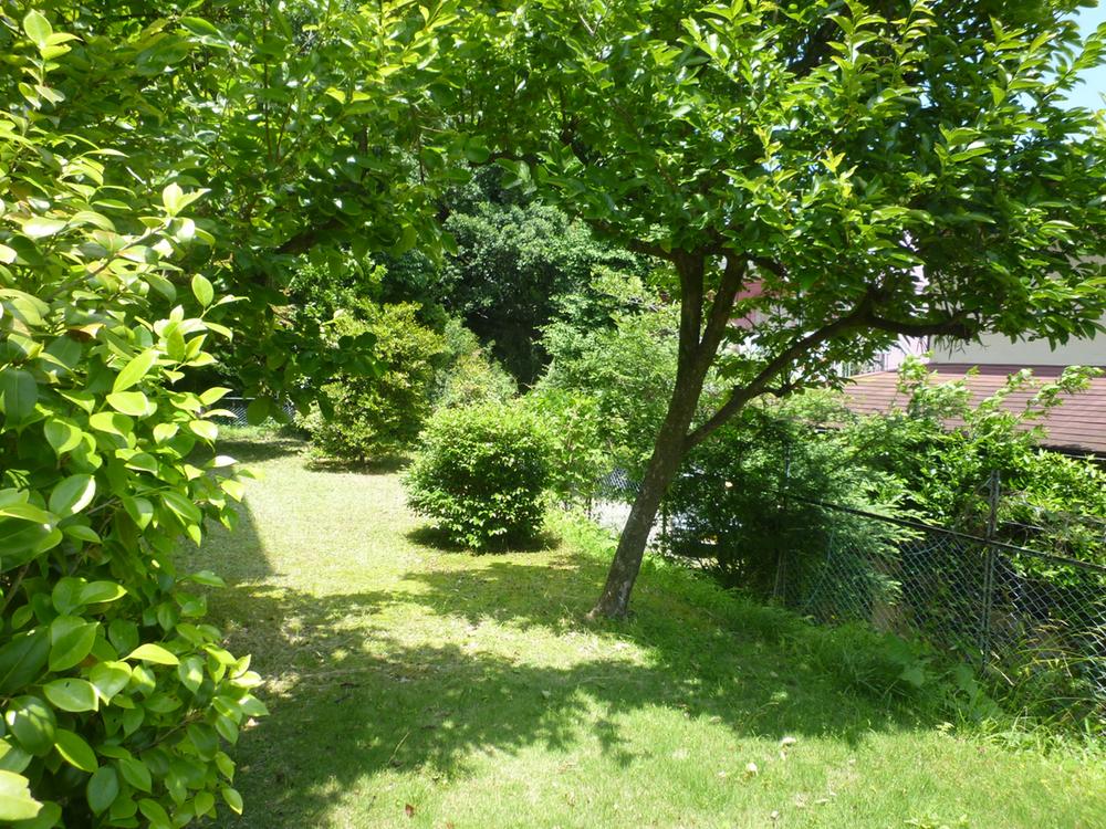 Garden. Local (June 2015) Shooting
