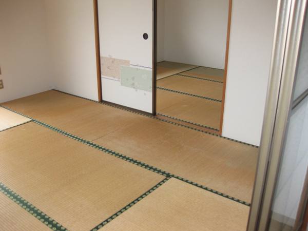 Living and room