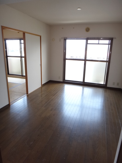 Living and room. Living