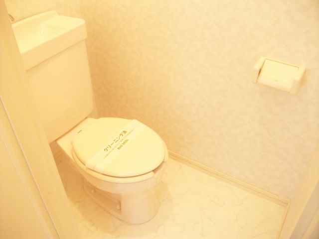 Toilet. Bathing toilet is naturally different