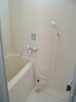 Bath. Bathroom with cleanliness