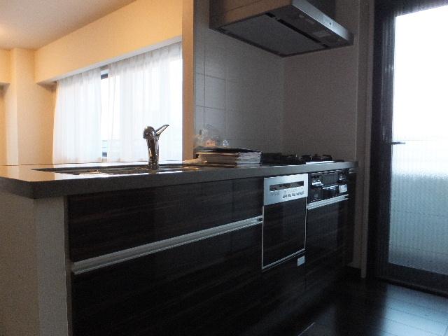 Kitchen. Indoor (11 May 2013) Shooting