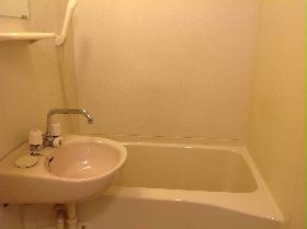 Bath. bath With bathroom dryer