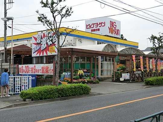 Other. Big yaw San Machida Koyama shop 850m