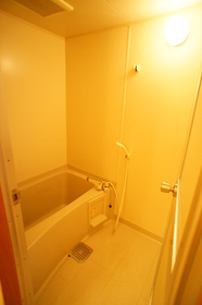 Bath. Bathroom (bus ・ Toilet separate room)