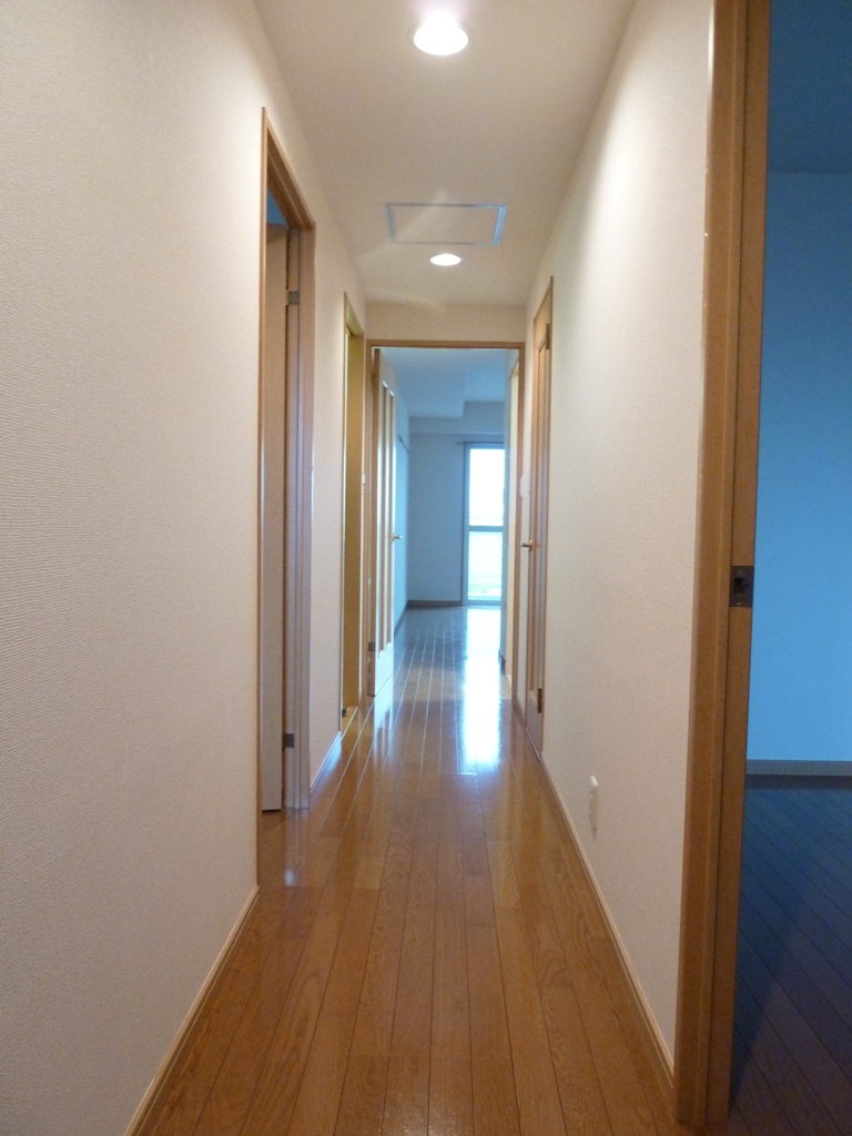 Other room space. Corridor  The same type ・ It will be in a separate dwelling unit photos.