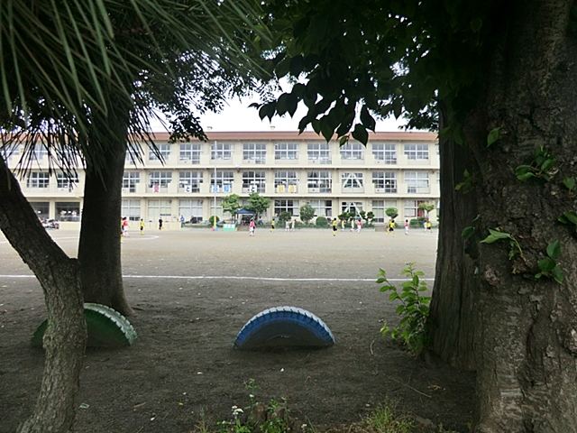 Primary school. 900m to Sagamihara Municipal upper groove Minami elementary school (elementary school)