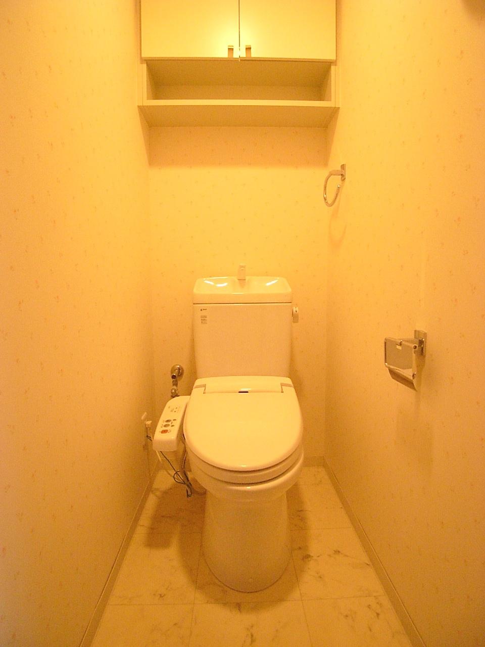 Toilet. Shower toilet (November 2013) Shooting