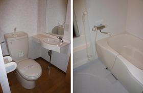 Bath. Bathroom