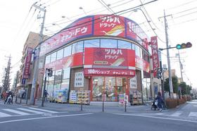 Other. 220m to the dispensing pharmacy Tsuruha drag (Other)