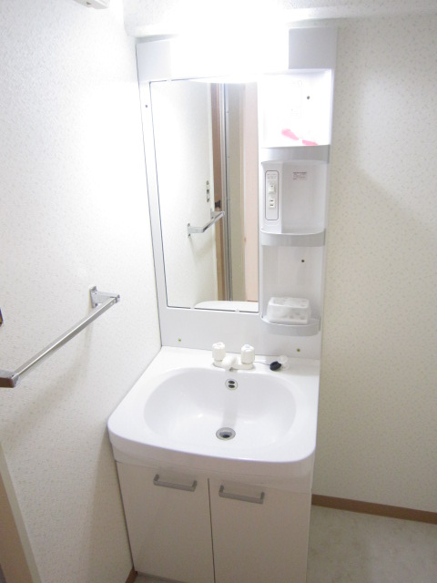 Washroom. Wash basin is also equipped with independent in dressing room.