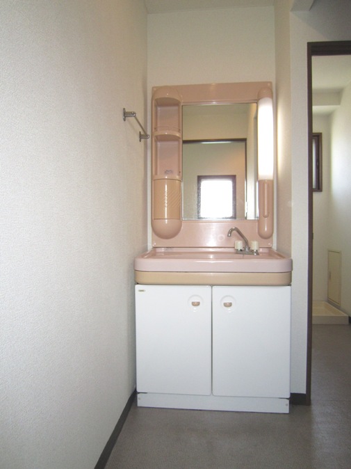 Washroom. Bathroom vanity