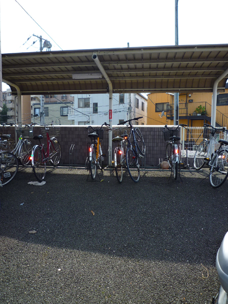 Parking lot. Bicycle-parking space