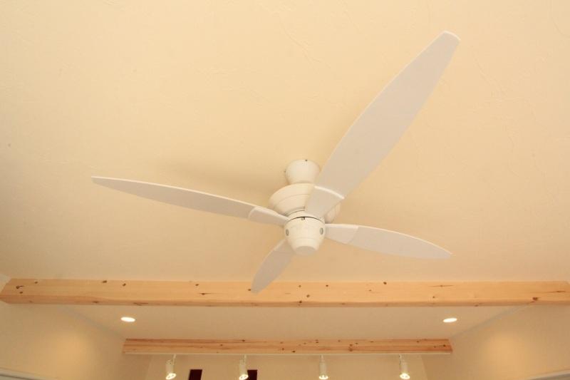 Other introspection. Room where ceiling fans look great