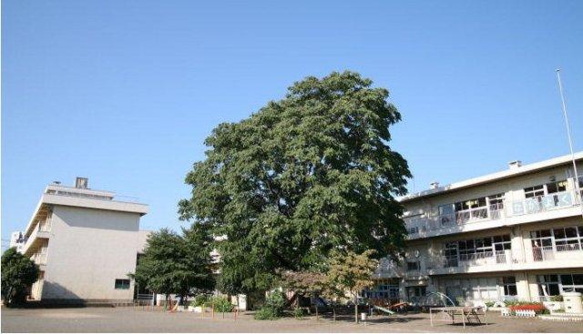 Primary school. Fuchinobe until elementary school 1030m