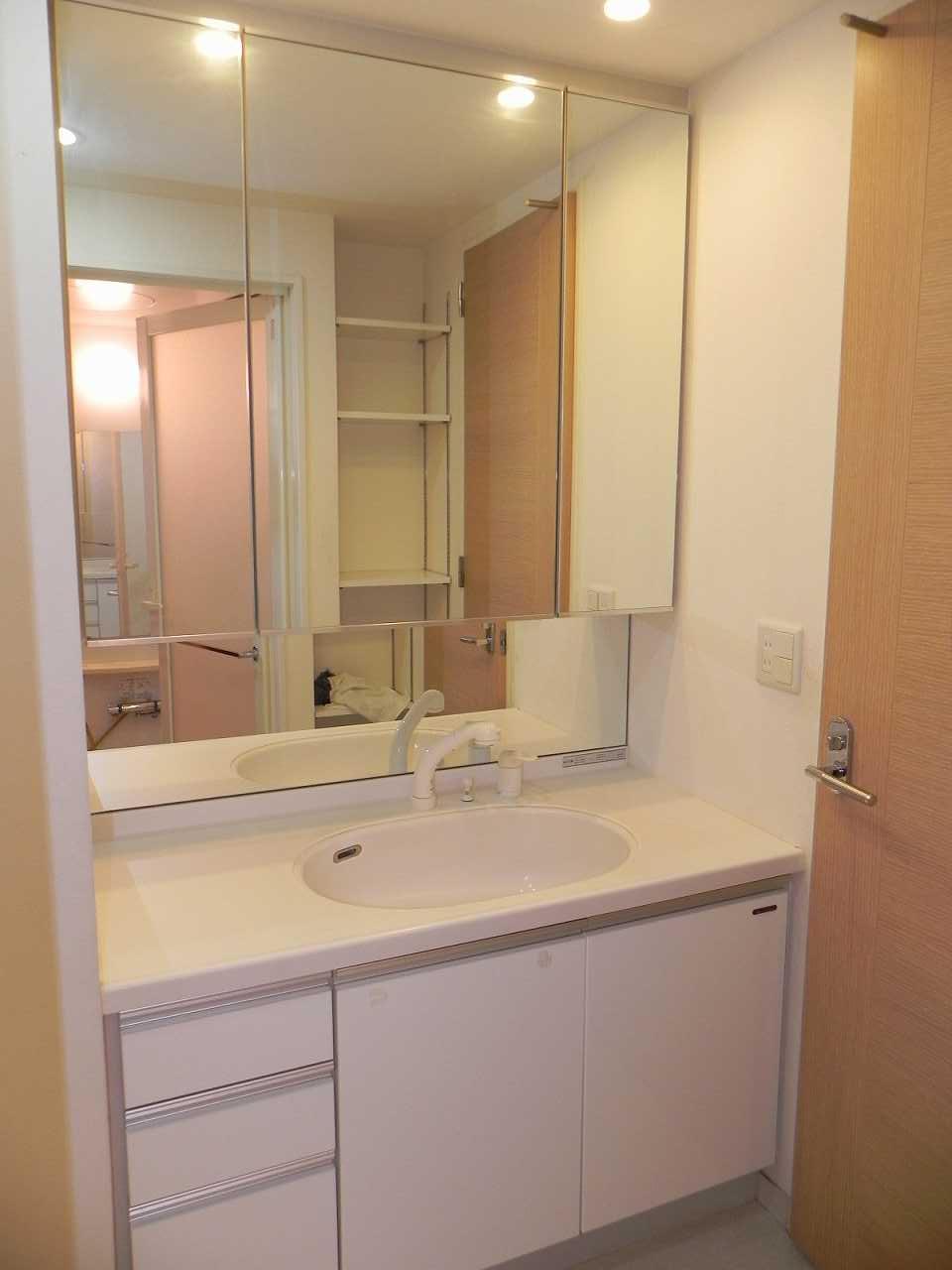 Wash basin, toilet. appearance