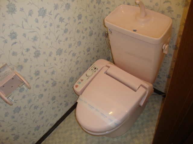 Toilet. Washlet will be leaving thing treatment