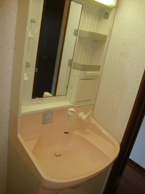 Washroom. Washbasin bowl is spread