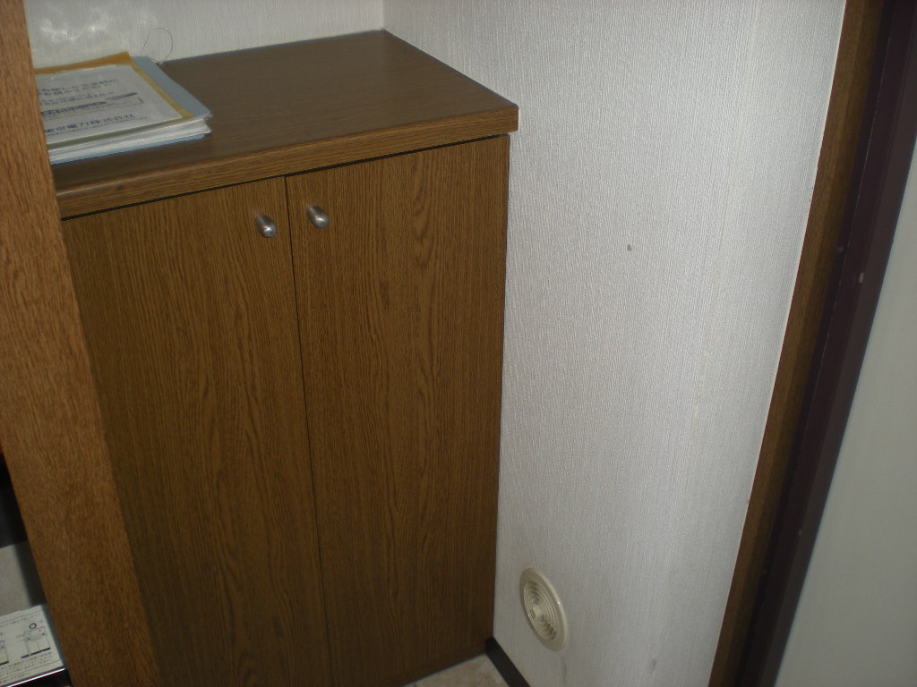 Entrance. Shoe boxes