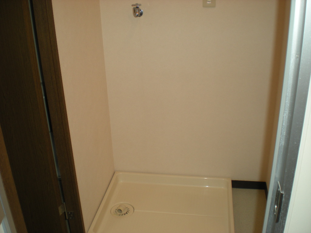 Washroom. Washing machine Storage