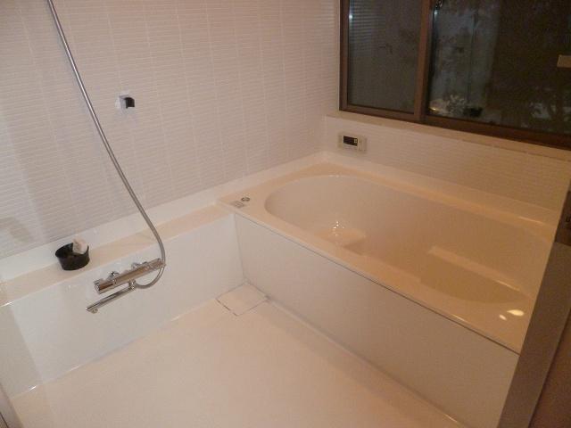 Bathroom. Indoor (January 2013) Shooting