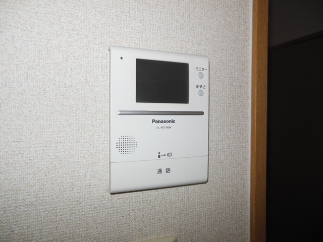 Security. Monitor with a intercom
