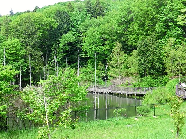 park. Please heartily a sweat in the 1000m naturally full of a large park to Osanai back park ☆