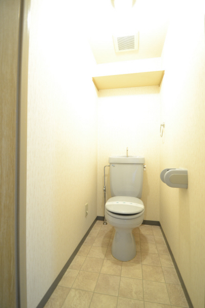 Toilet. Reference photograph