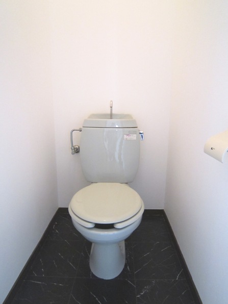 Toilet. Bus toilet by type
