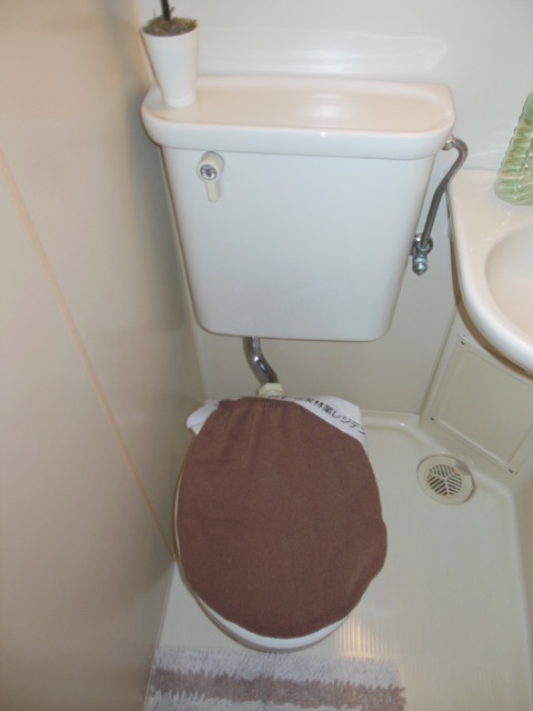 Toilet. Toilet