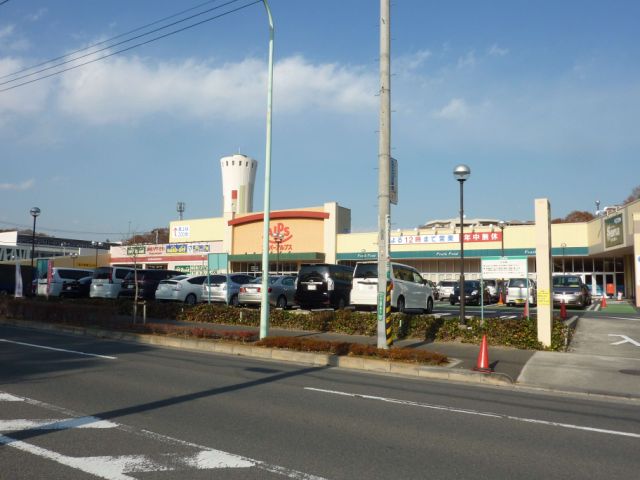 Shopping centre. 1100m to the Alps (shopping center)