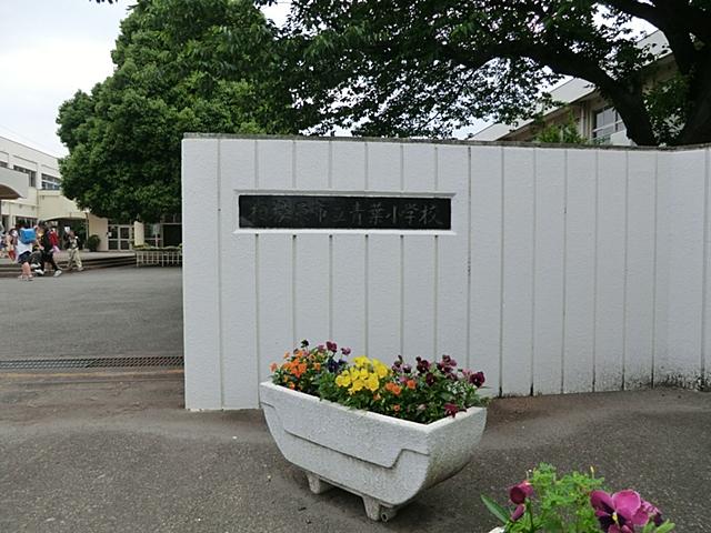 Primary school. 661m to Sagamihara Municipal Aoba Elementary School