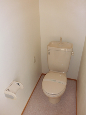 Toilet. Reference room photo