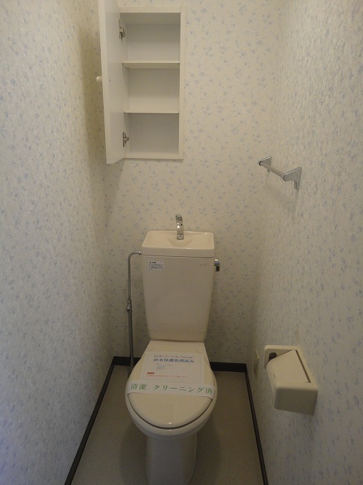 Toilet