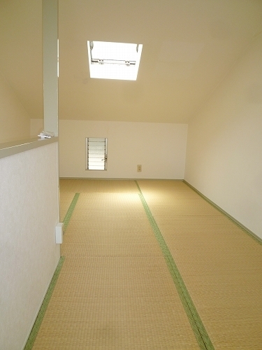 Other room space. There is also a skylight